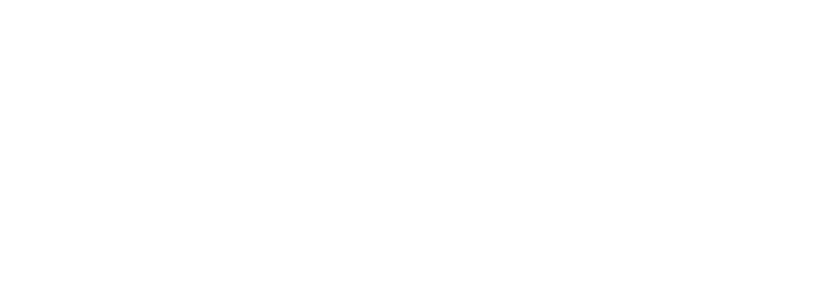 Bleen_logo_white_web